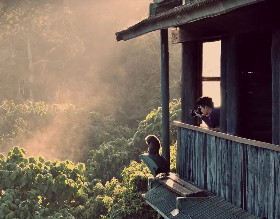 Can I Do a Photography Safari in Uganda?