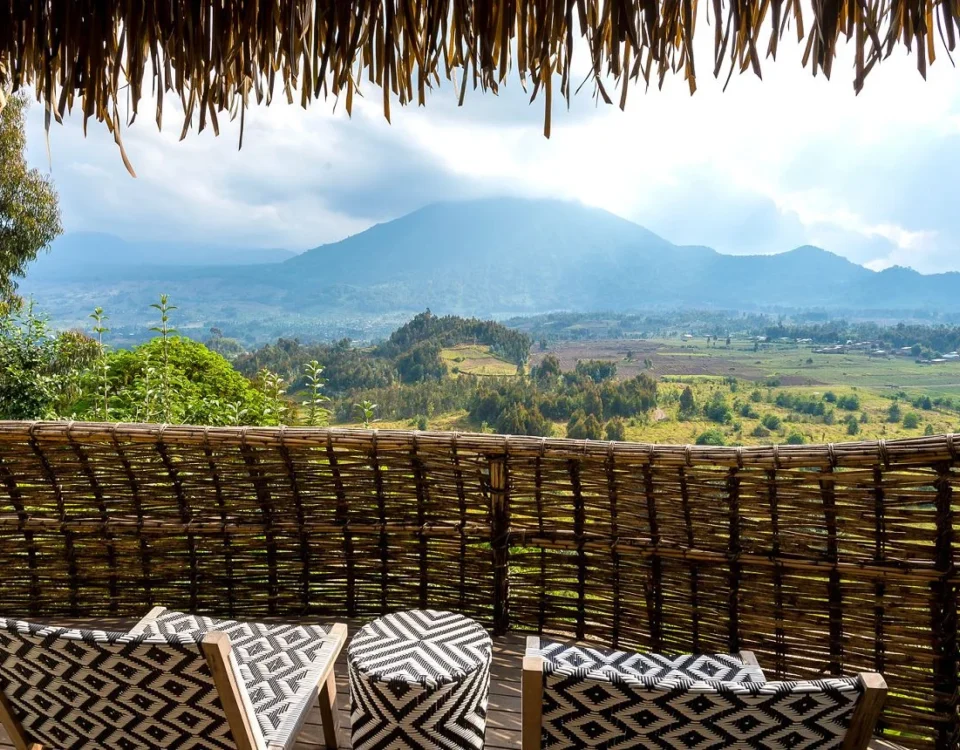 How Many Individual Villas Are Available at Bisate Lodge to Ensure Guest Exclusivity?