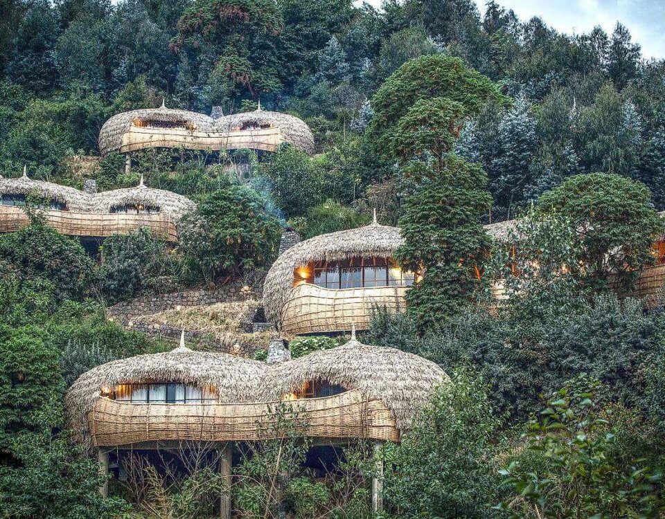 Exclusivity and Privacy at Bisate Lodge
