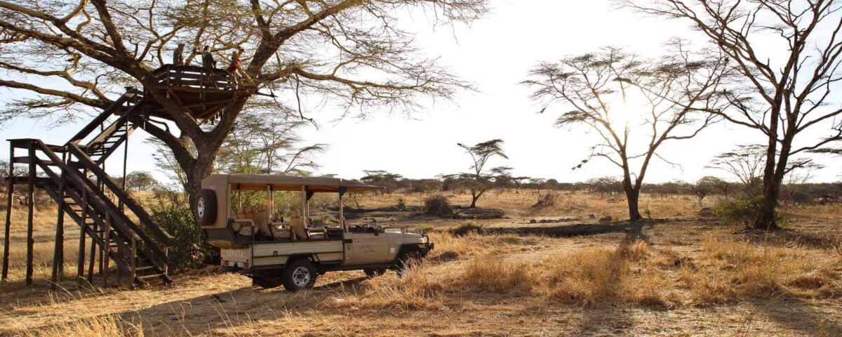 Why Is the Rwanda and Tanzania Combination Considered the Ultimate Seamless Safari?