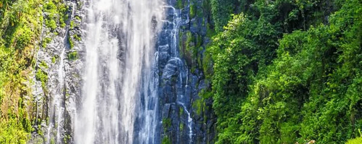 Are There Any Cultural Attractions Near Kilimanjaro National Park?
