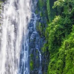 Are There Any Cultural Attractions Near Kilimanjaro National Park?
