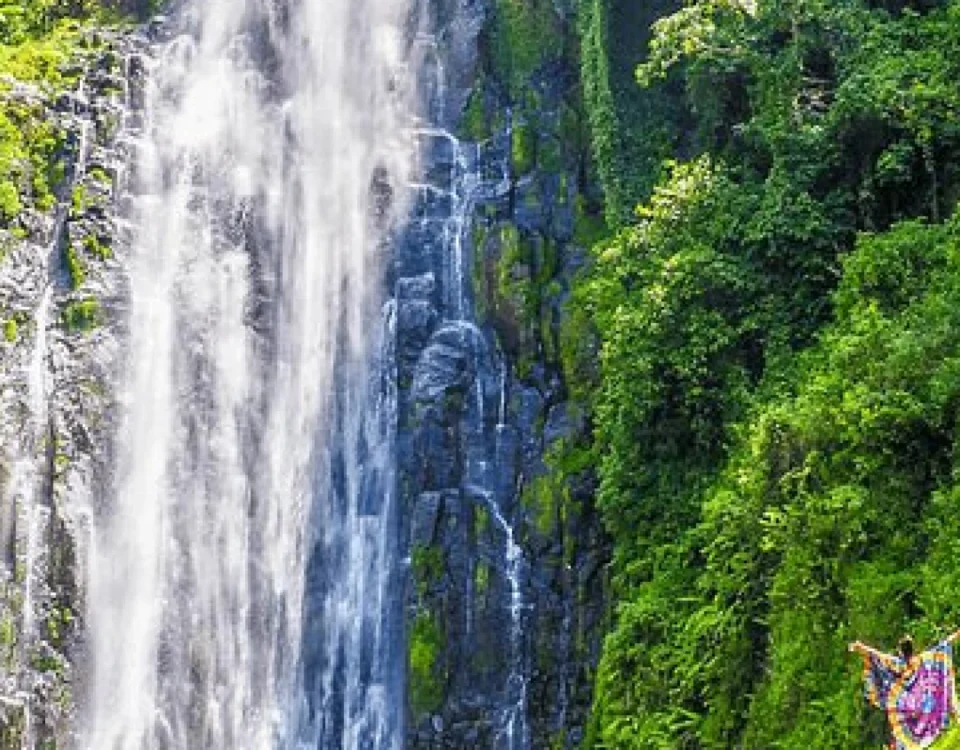 Are There Any Cultural Attractions Near Kilimanjaro National Park?
