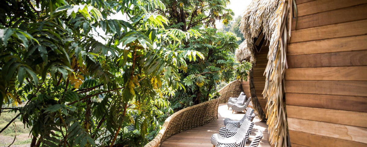 What Specific Views Can Guests Expect from Their Private Decks at Bisate Lodge?