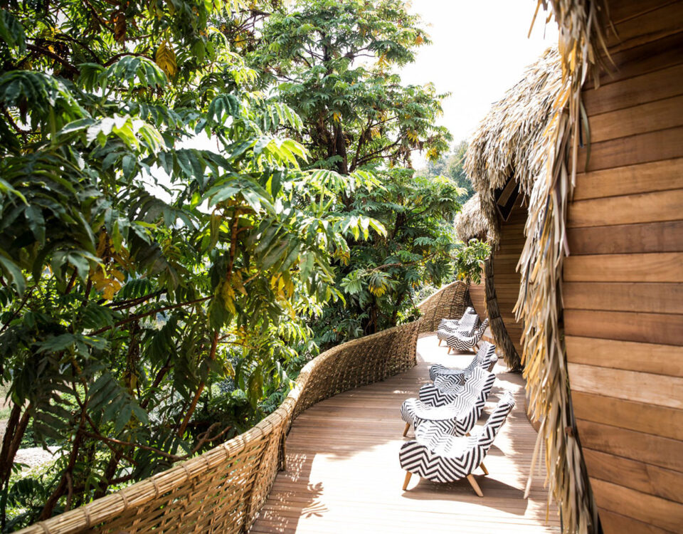 What Specific Views Can Guests Expect from Their Private Decks at Bisate Lodge?