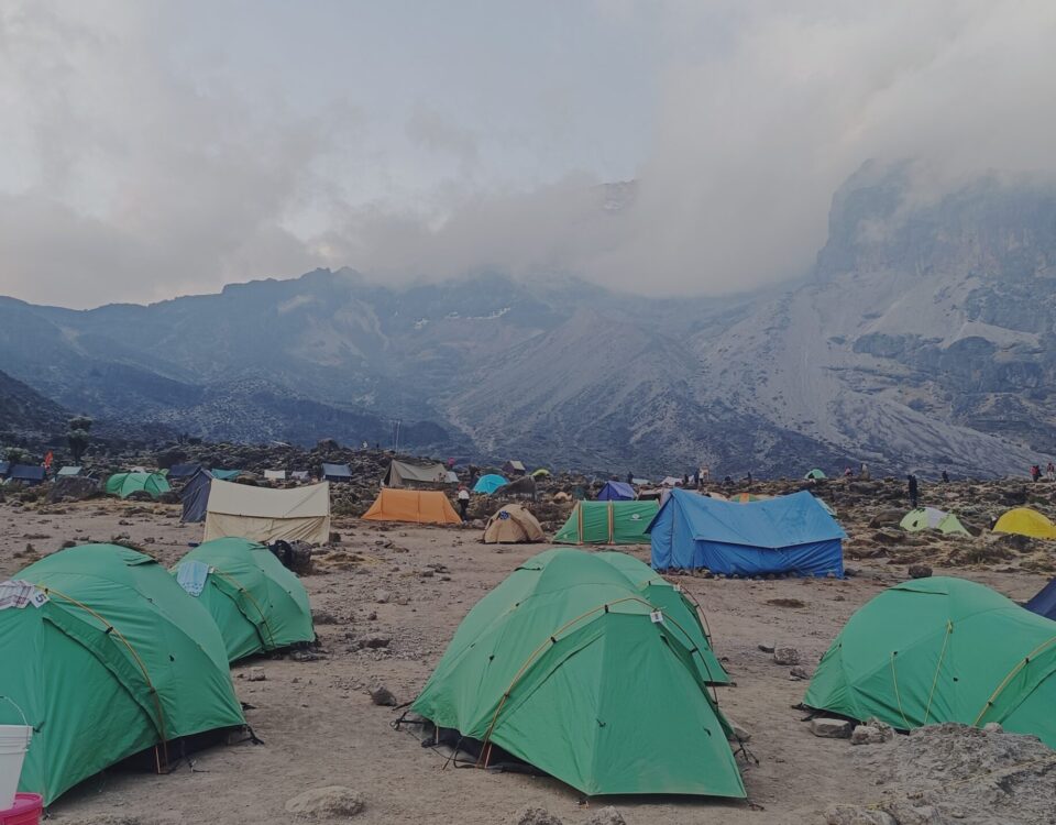 Can I Do a Day Trip to Kilimanjaro's Base Camp?