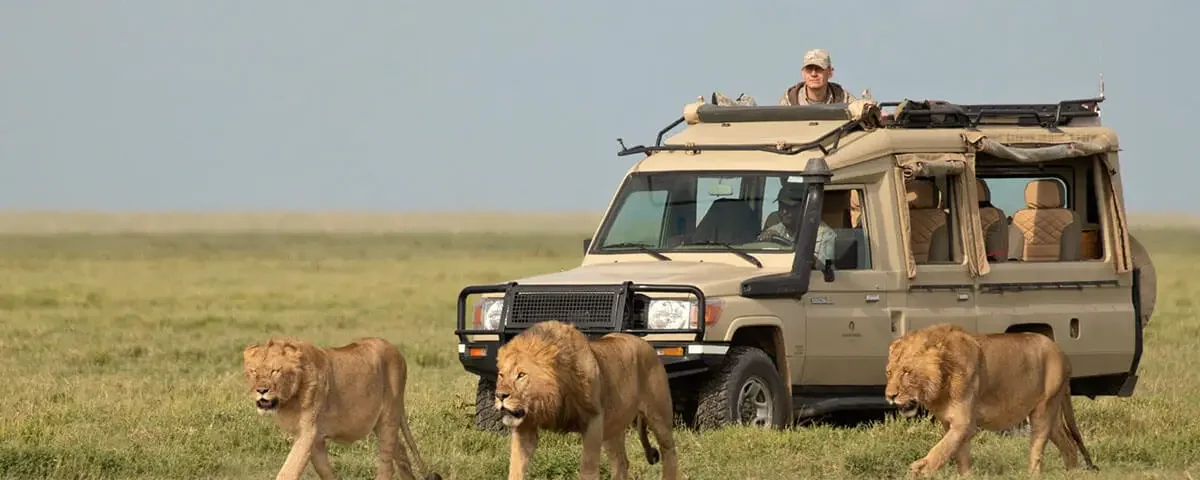 How Do Travelers Transit Comfortably from Volcanoes National Park to the Serengeti?