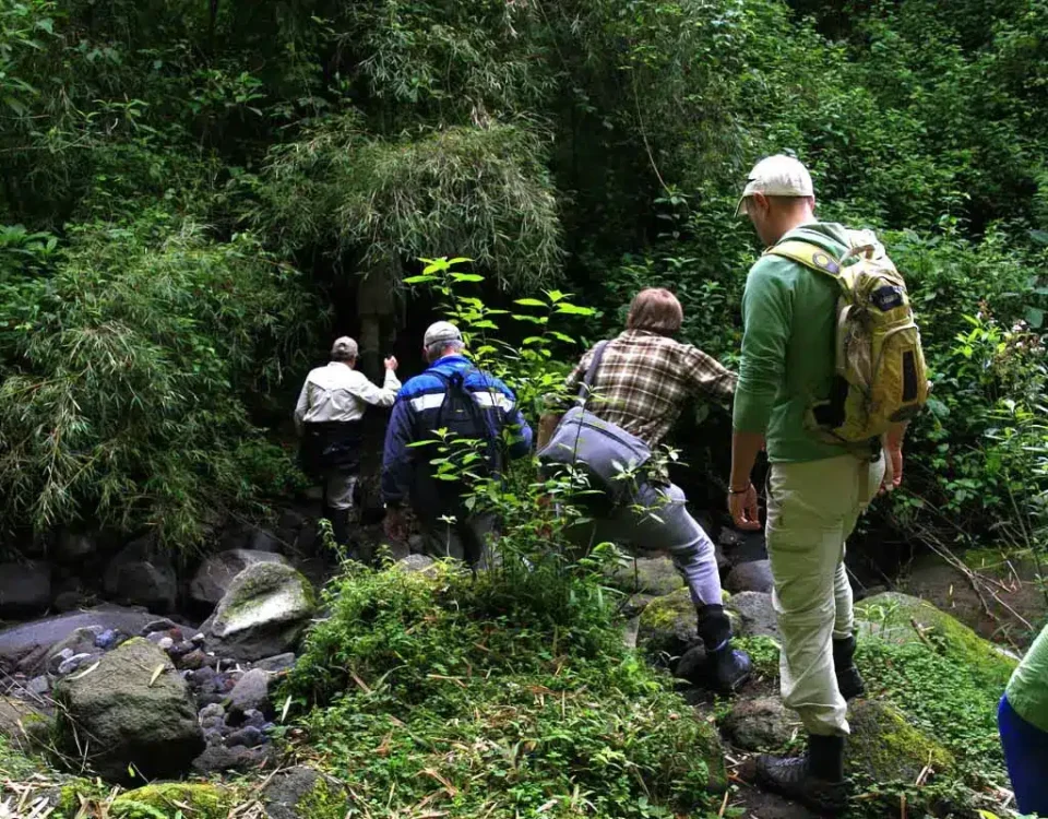 What Should I Wear for Gorilla Trekking? 