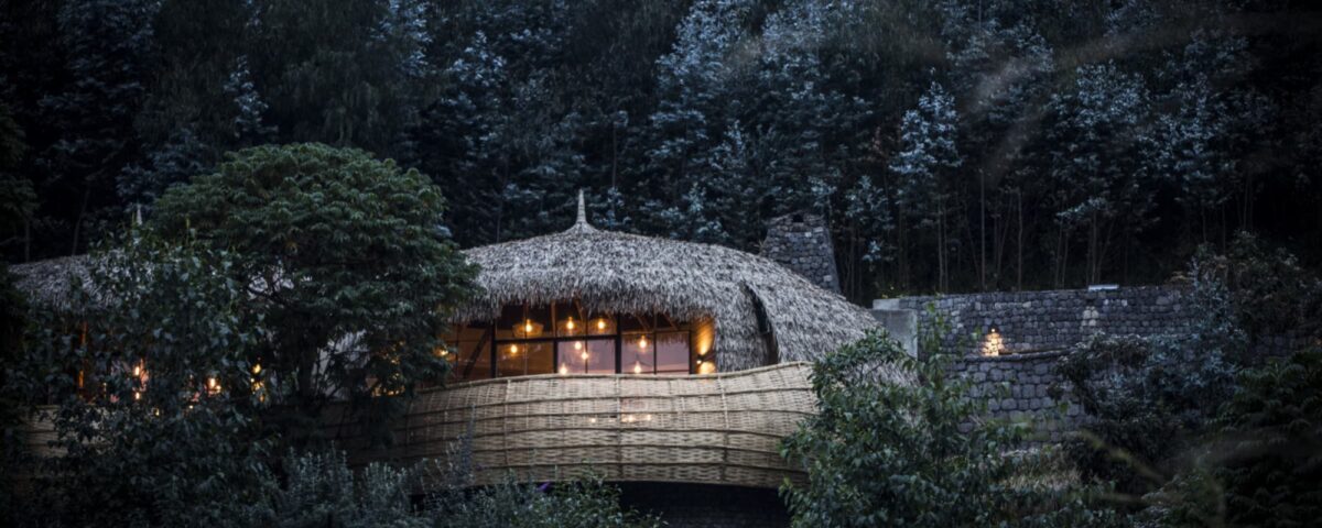The Ultimate Guide to Gorilla Trekking from Bisate Lodge