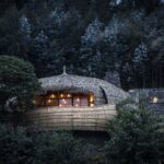 The Ultimate Guide to Gorilla Trekking from Bisate Lodge
