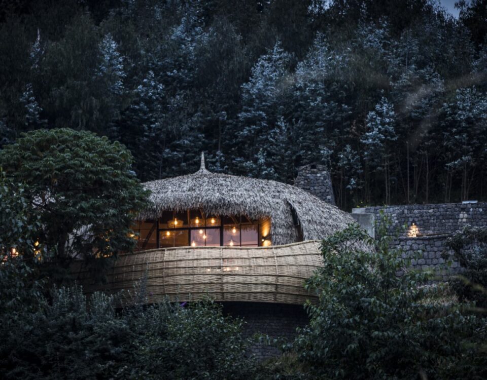The Ultimate Guide to Gorilla Trekking from Bisate Lodge