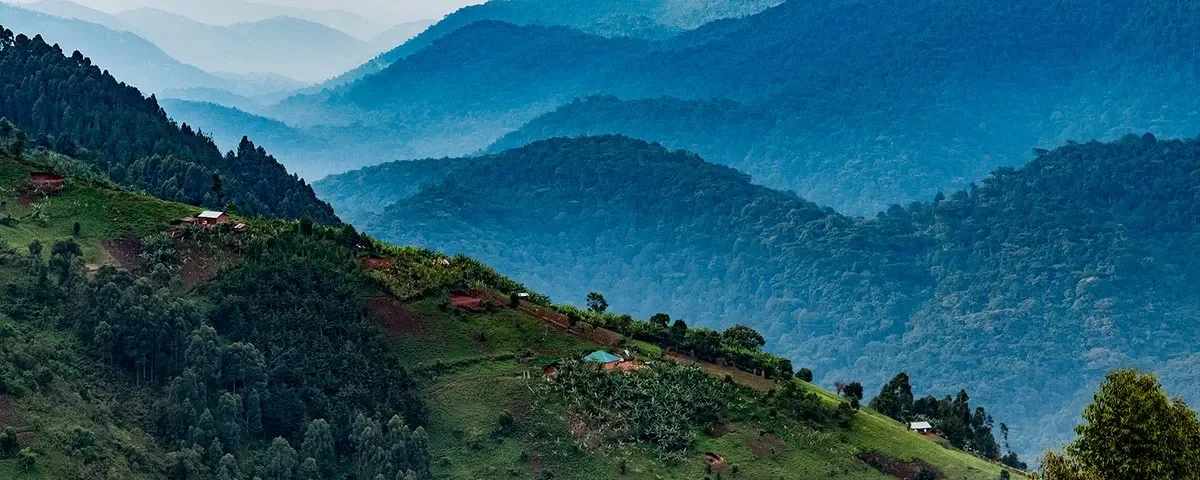 Why is Bwindi important for conservation?