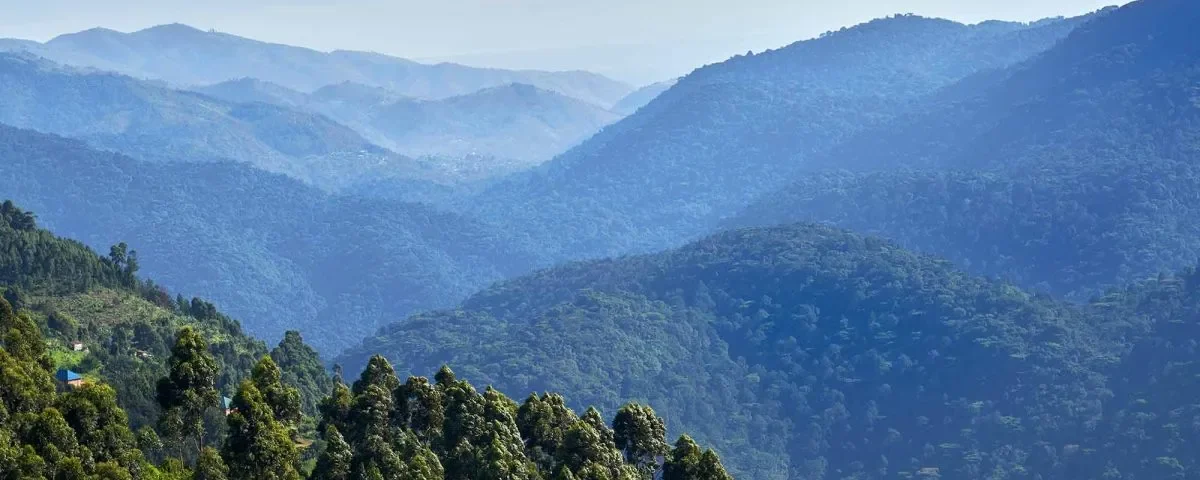 When was Bwindi established?