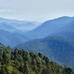 When was Bwindi established?