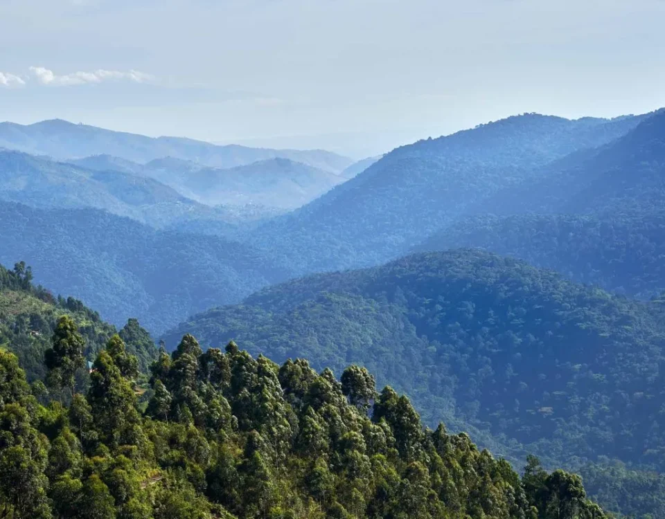 When was Bwindi established?