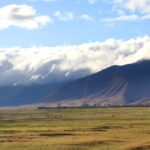 Evaluating Your Success Rate for a "Full House" on the Caldera Floor