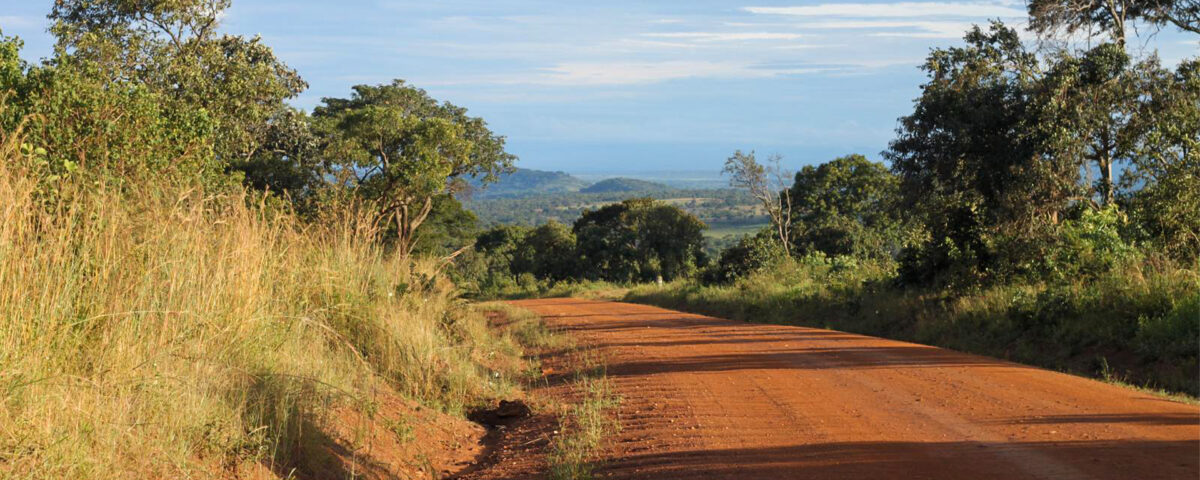 Are There Any Conservation Efforts in Place to Protect Katavi’s Wildlife?