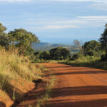 Are There Any Conservation Efforts in Place to Protect Katavi’s Wildlife?