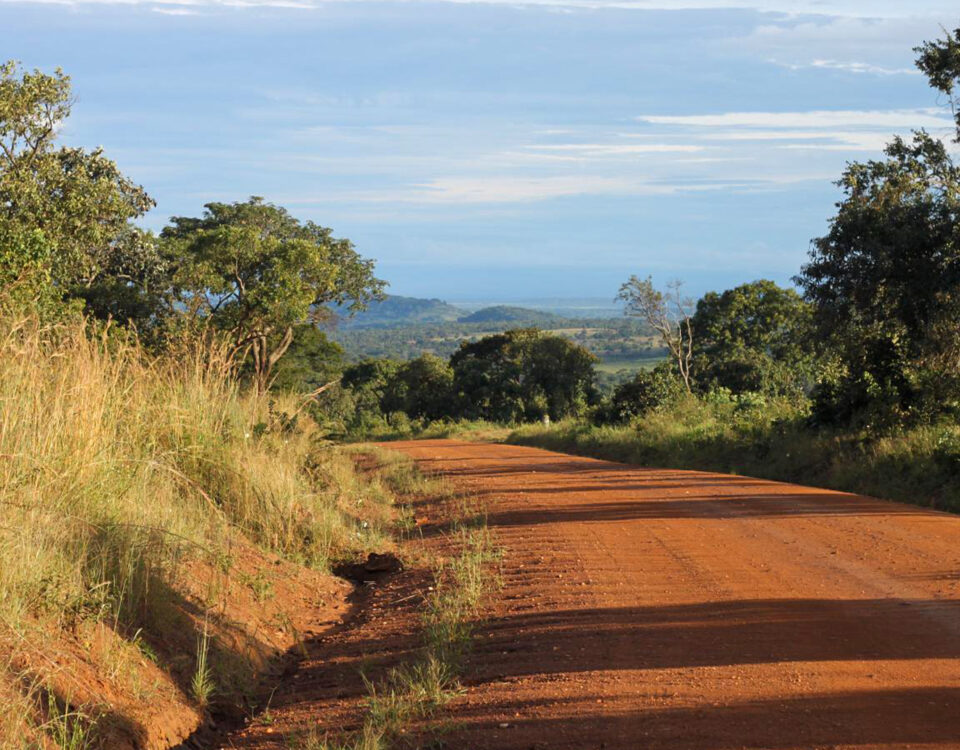 Are There Any Conservation Efforts in Place to Protect Katavi’s Wildlife?