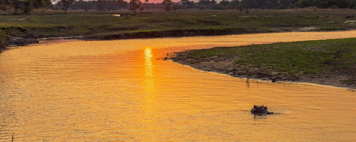 Can I Visit the Katavi River for Wildlife Viewing?