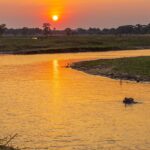 Can I Visit the Katavi River for Wildlife Viewing?