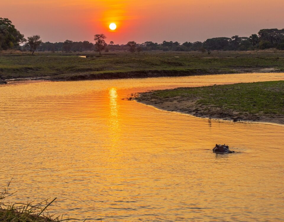 Can I Visit the Katavi River for Wildlife Viewing?