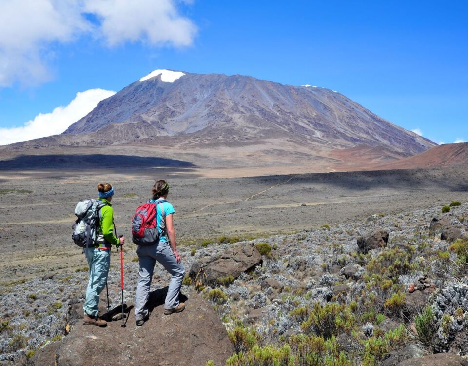 What Are the Must-See Attractions on a Kilimanjaro Hike?