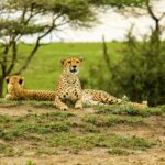Unlocking Private Access to the Heart of the Serengeti Ecosystem