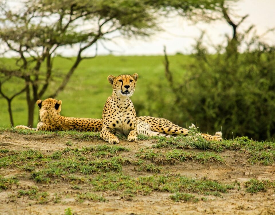 Unlocking Private Access to the Heart of the Serengeti Ecosystem