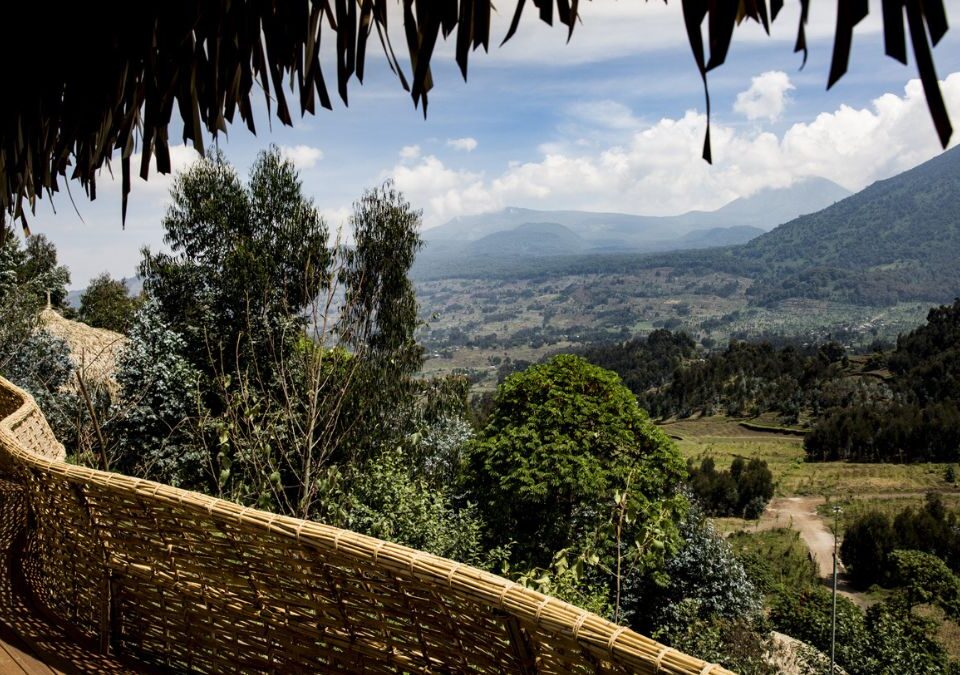 The Architectural Genius and Cultural Tapestry of Bisate Lodge