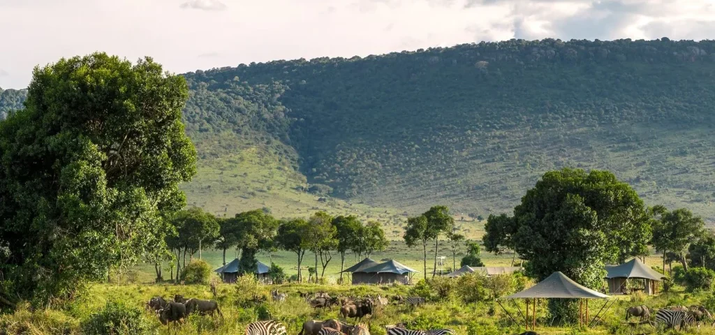 How Does Staying at Angama Mara Provide Quick, Premium Access to the Mara Triangle?