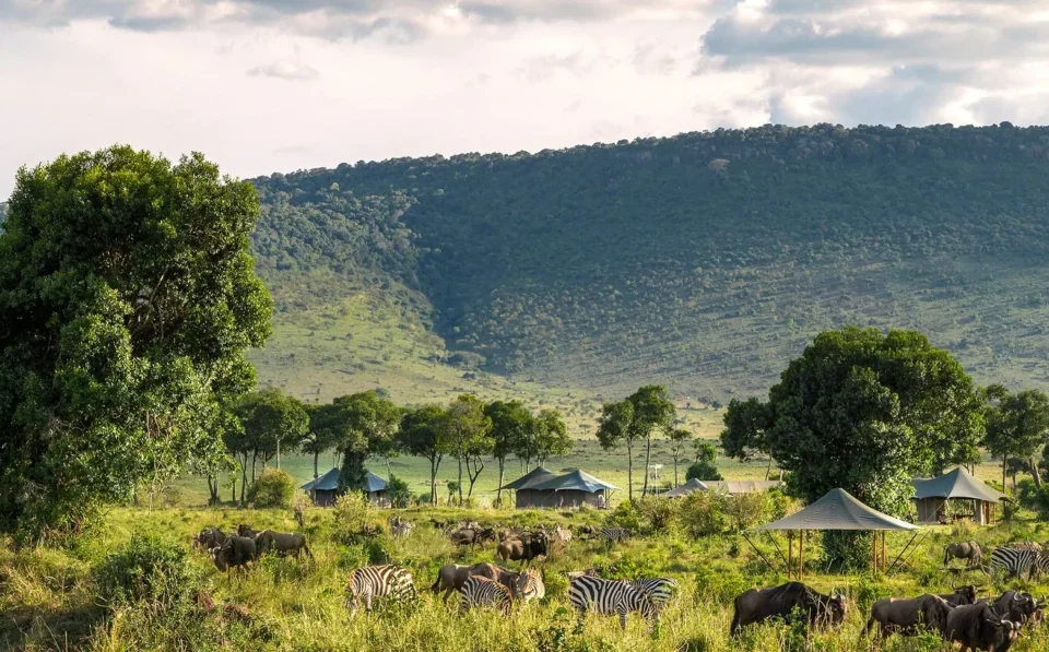 How Does Staying at Angama Mara Provide Quick, Premium Access to the Mara Triangle?