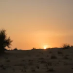 What defines the concept of a "Sky Safari," and how does it optimize travel time?