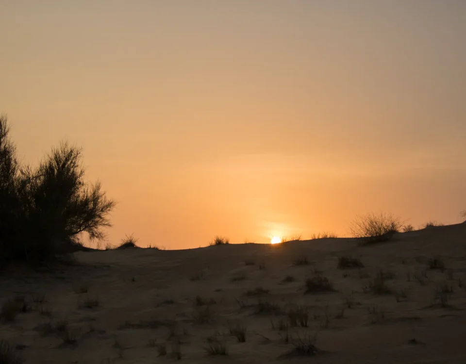 What defines the concept of a "Sky Safari," and how does it optimize travel time?