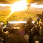 Are night drives permitted in the immediate vicinity of Angama Mara or The Highlands?
