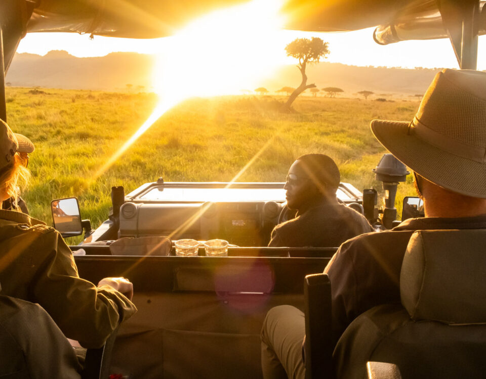 Are night drives permitted in the immediate vicinity of Angama Mara or The Highlands?