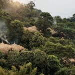 What Local Cultural Interactions or Village Visits Are Curated for Guests Staying at Bisate Lodge?