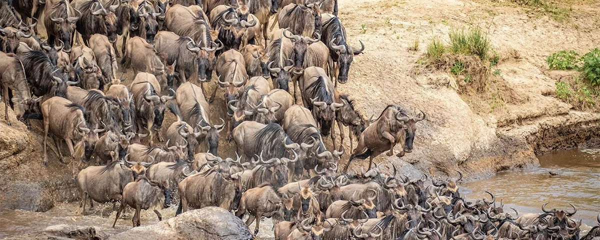 What is the ideal duration for a comprehensive Great Migration fly-in itinerary?