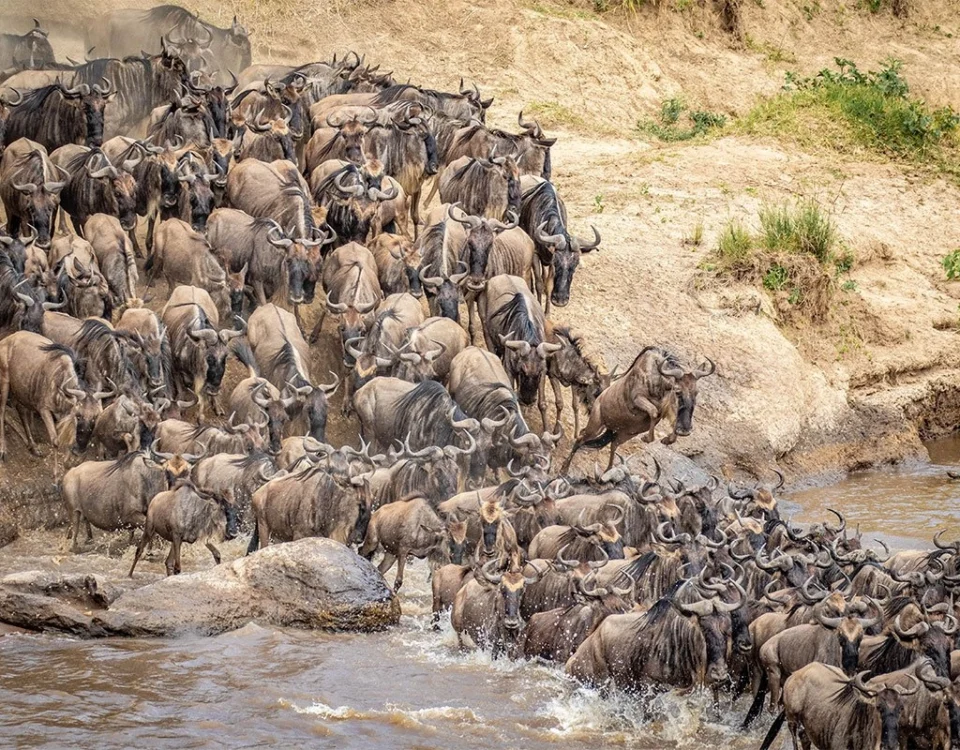 What is the ideal duration for a comprehensive Great Migration fly-in itinerary?