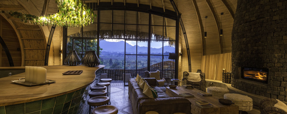 What Other Primate Species Can Be Tracked Near Bisate Lodge?