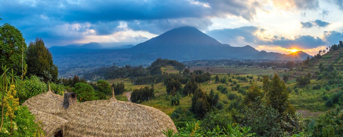 What Birdwatching Opportunities Exist Within the Volcanic Amphitheater Surrounding Bisate Lodge?