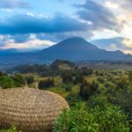 What Birdwatching Opportunities Exist Within the Volcanic Amphitheater Surrounding Bisate Lodge?