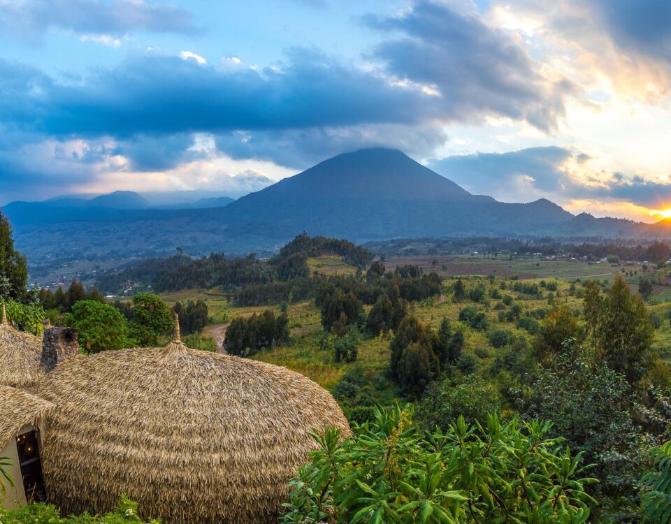 What Birdwatching Opportunities Exist Within the Volcanic Amphitheater Surrounding Bisate Lodge?