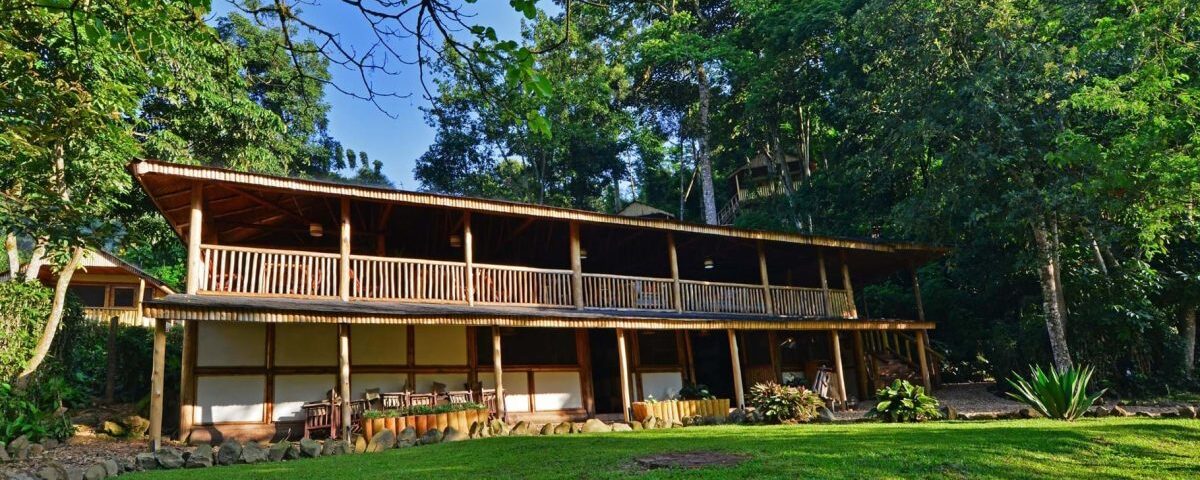 Uganda Safaris 2026 Firante Gorilla Treks