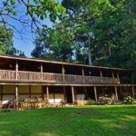 Uganda Safaris 2026 Firante Gorilla Treks