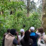 An Avid Birder’s Guide to Bwindi Impenetrable Forest