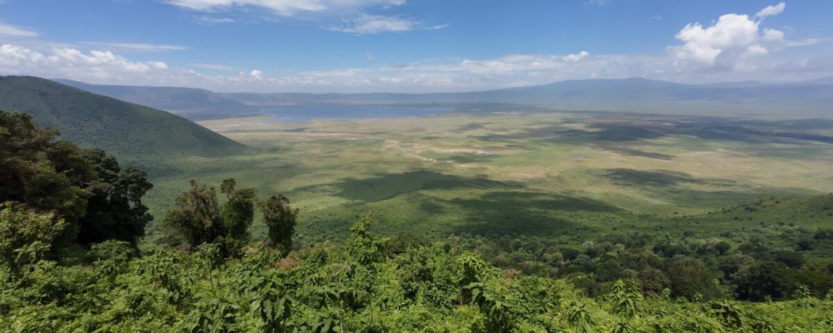How Does the Terrain of Volcanoes National Park Compare to the Landscape of the Ngorongoro Crater?