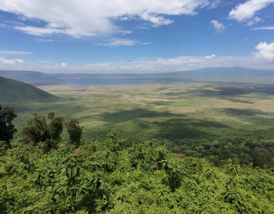 How Does the Terrain of Volcanoes National Park Compare to the Landscape of the Ngorongoro Crater?