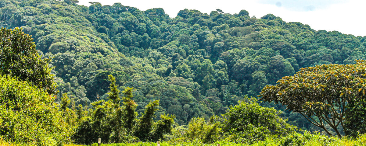 What Makes the Combination of Uganda and Kenya Appealing to Travelers Seeking Diverse Micro-Climates?