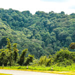 What Makes the Combination of Uganda and Kenya Appealing to Travelers Seeking Diverse Micro-Climates?
